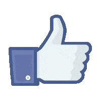 icone redes sociais